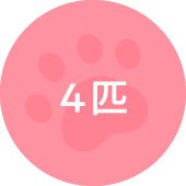 4匹