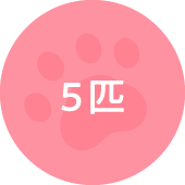 5匹