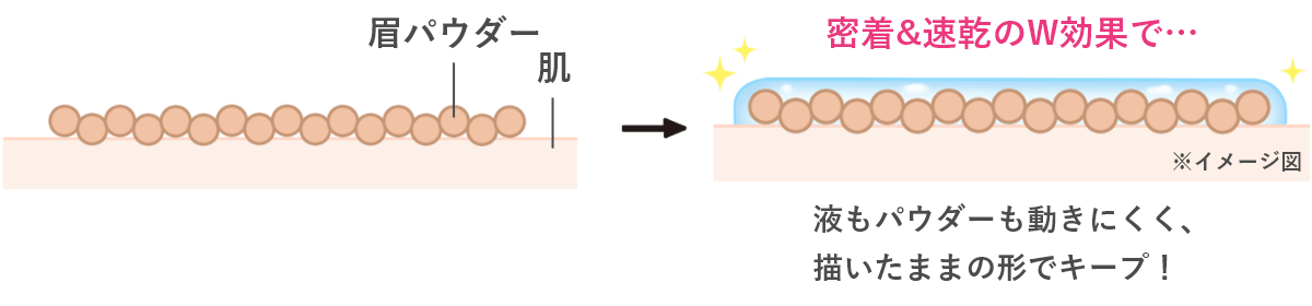 機能の特徴