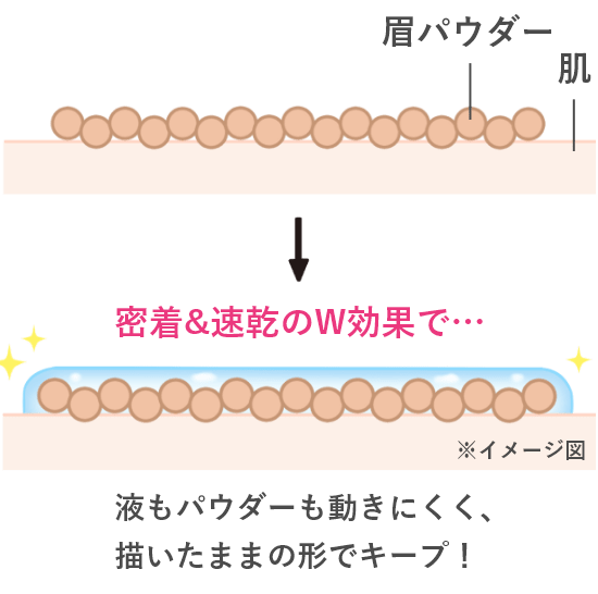 機能の特徴