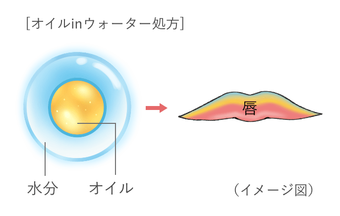 成分・処方の特徴