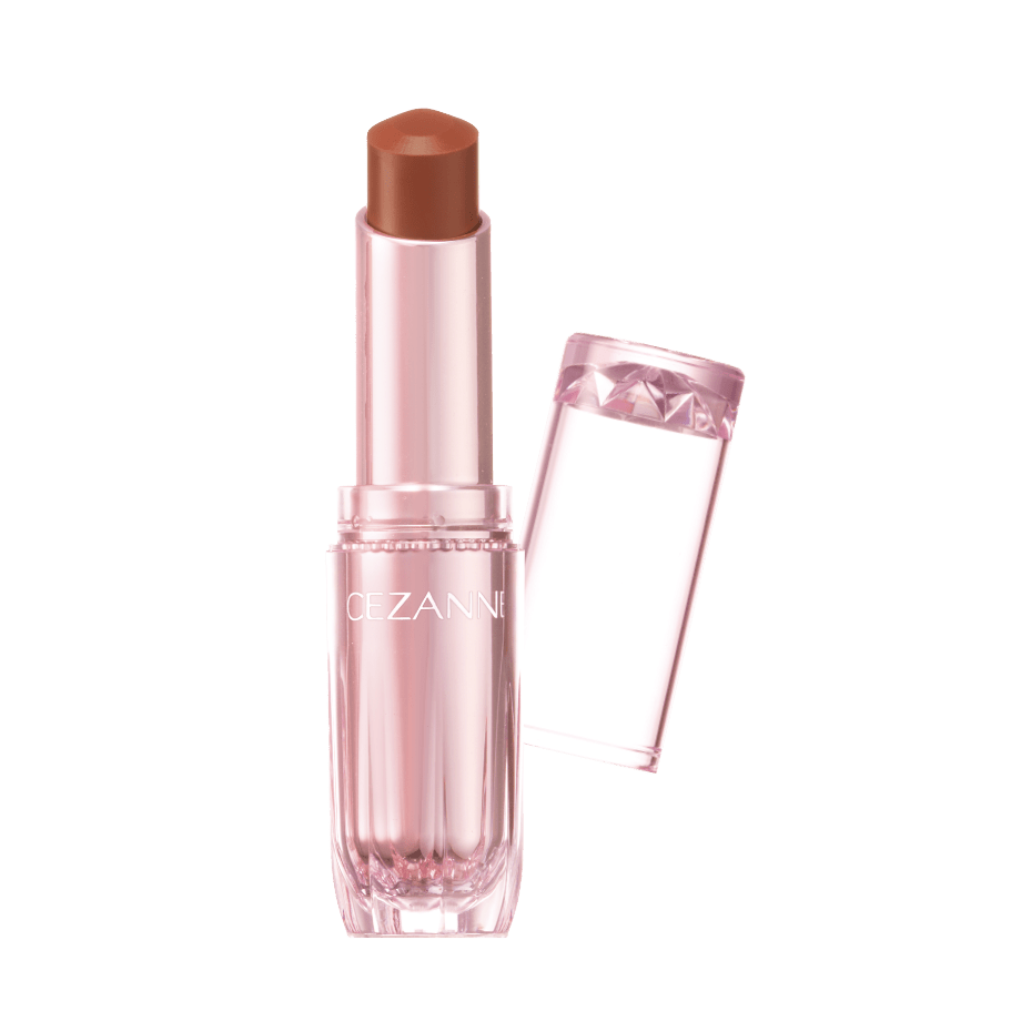 ラスティンググロスリップN 101　フィグモカ