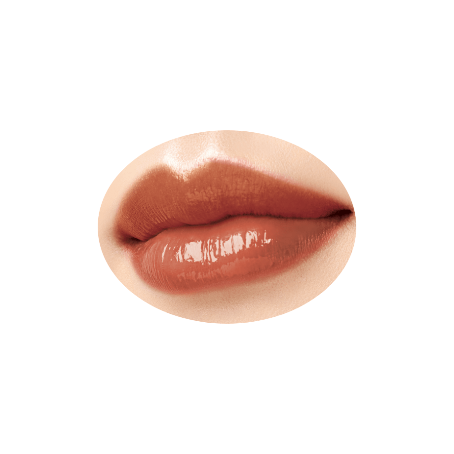 ラスティンググロスリップN 101　フィグモカ