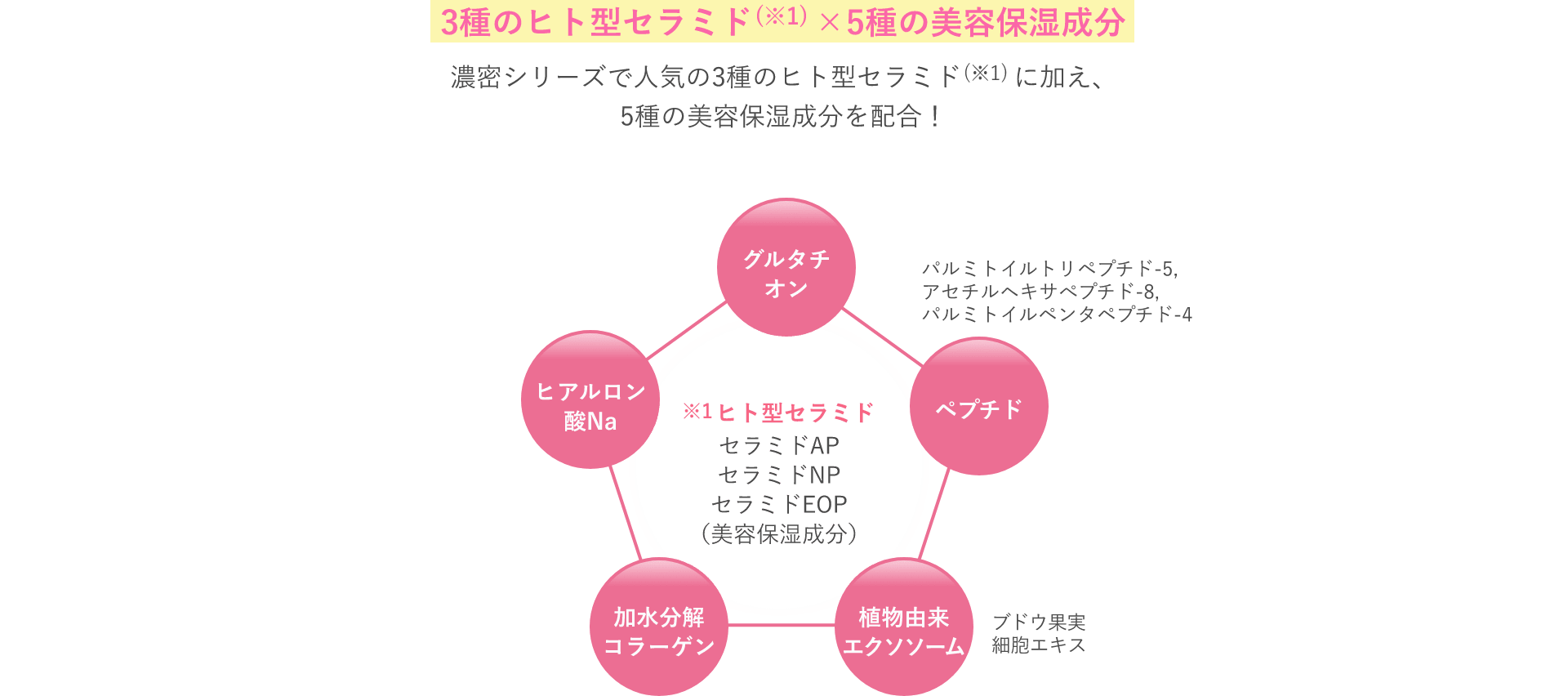 3種のヒト型セラミド×5種の美容保湿成分