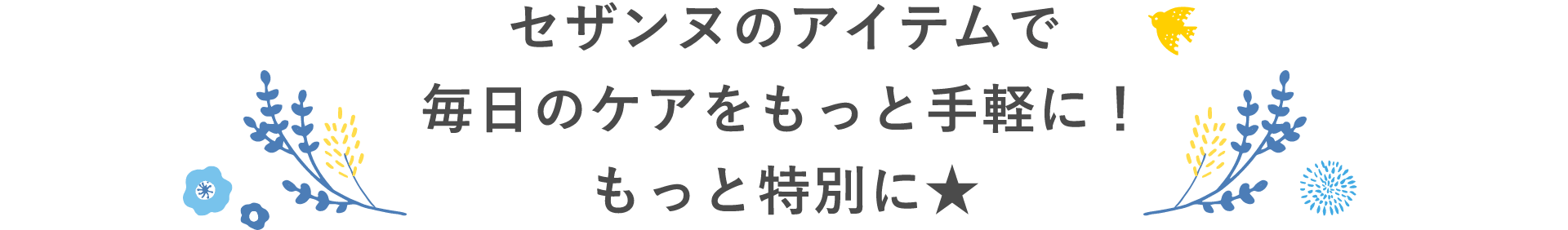 セザンヌのアイテムで毎日のケアをもっと手軽に！もっと特別に★